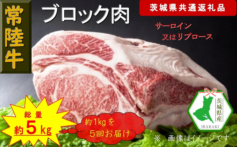 【5か月定期便】【常陸牛】ブロック肉 約1kg【定期便】計5回 総量約5kg（茨城県共通返礼品）【常陸牛　茨城県産　日立市】