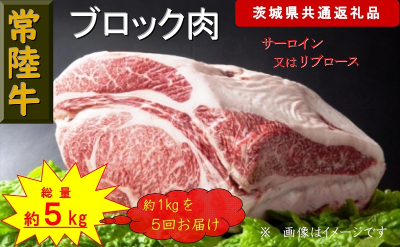 【5か月定期便】【常陸牛】ブロック肉 約1kg【定期便】計5回 総量約5kg（茨城県共通返礼品）【 常陸牛 茨城県 日立市 】