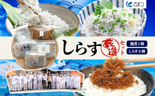 こまつ　しらす厳選セット シラス 本気のシラス 釜揚げ ちりめん 山椒 しらす丼 魚 魚介 海の幸 グルメ 人気 ギフト 贈り物 贈答品 食べ比べ 送料無料 小松水産 茨城県 日立市