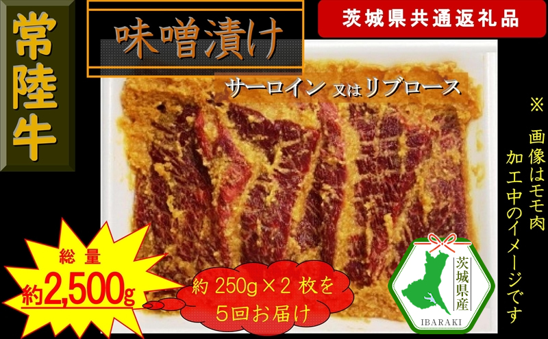 【5か月定期便】【常陸牛】常陸牛の味噌漬け（サーロイン又はリブロース）約500g【定期便】計5回 総量約2,500g（茨城県共通返礼品）【常陸牛　茨城県産　日立市】