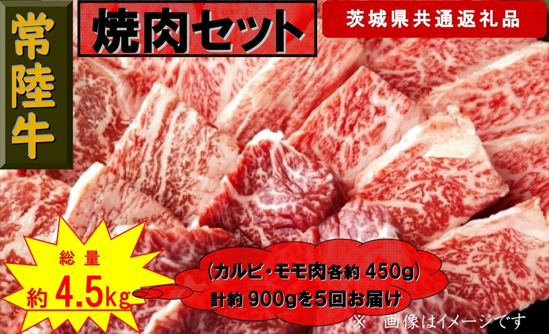 【5か月定期便】【常陸牛】焼肉セット 約900g【定期便】計5回 総量約4,500g（茨城県共通返礼品）【 常陸牛 茨城県 日立市 】