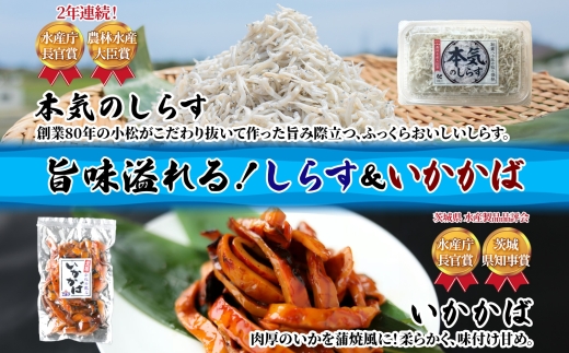 ããŸã€ åè³ã»ãã æ¬æ°ã®ããã æ é€ã°ãã ããµããã ãã«ãããã¬ã³ã ãããã° éæã ããã ã¡ããã ãã ã€ã« ãµããã ããã䞌 ã飯ã®ãäŸ é éä» æµ·ã®å¹ž ã°ã«ã¡ äººæ° ã®ãã èŽãç© èŽçå å°æŸæ°Žç£ èšåç æ¥ç«åž