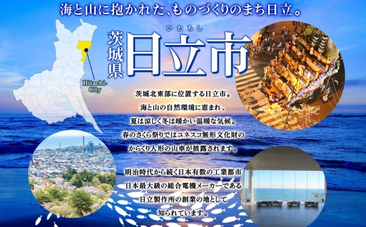 こまつ いかかばセット いか イカ 蒲焼 かば焼き タレ 甘め 手軽 便利 解凍するだけ おかず 惣菜 ご飯のお供 おつまみ 魚介 海の幸 グルメ ギフト 贈り物 贈答品 食べ比べ 送料無料 小松水産 茨城県 日立市