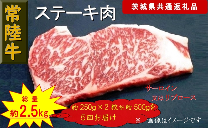 【5か月定期便】【常陸牛】ステーキ用肉 約500g【定期便】計5回 総量約2,500g（茨城県共通返礼品）【 常陸牛 茨城県 日立市 】