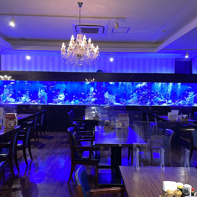 レストランメヒコアクアワールド特別ご優待券3000円分【 お食事券 茨城県 日立市 】