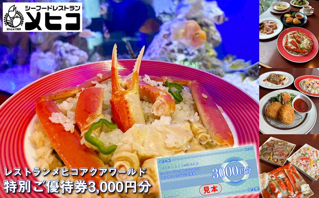 レストランメヒコアクアワールド特別ご優待券3000円分【 お食事券 茨城県 日立市 】