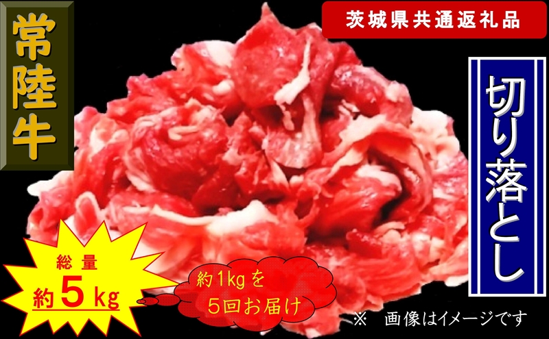 【5か月定期便】【常陸牛】切り落とし 約1kg【定期便】計5回 総量約5kg（茨城県共通返礼品）【 常陸牛 茨城県 日立市 】