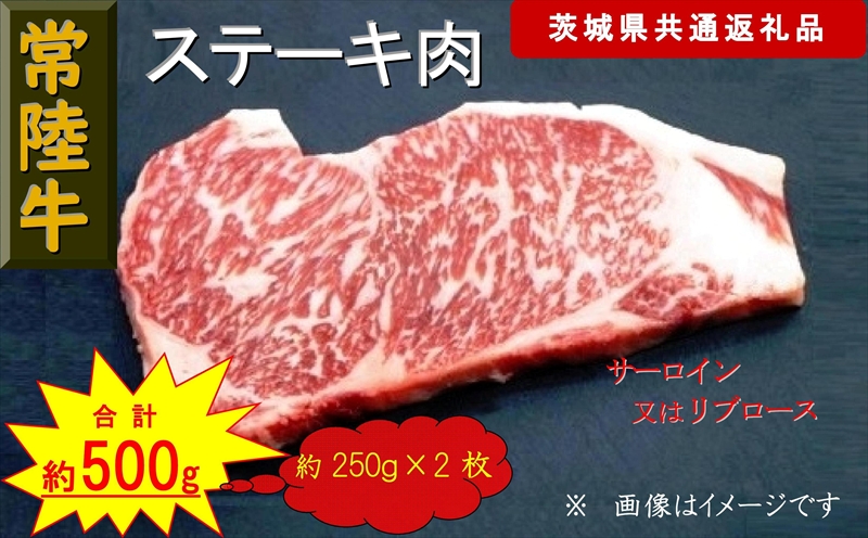 【常陸牛】ステーキ用肉 約500g（茨城県共通返礼品）【 常陸牛 茨城県 日立市 】