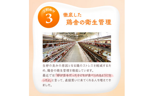 【6ヶ月定期便】小久保ファーム 濃厚卵黄 産みたてたまご 赤玉30個入り（M玉） | 定期便 6カ月 6回 卵 30個 赤玉 玉子 たまご タマゴ 生卵 鶏卵 産みたて 新鮮 濃厚 健康 国産 ギフト 贈答 贈り物 お中元 お歳暮 プレゼント 農家直送 _EI06