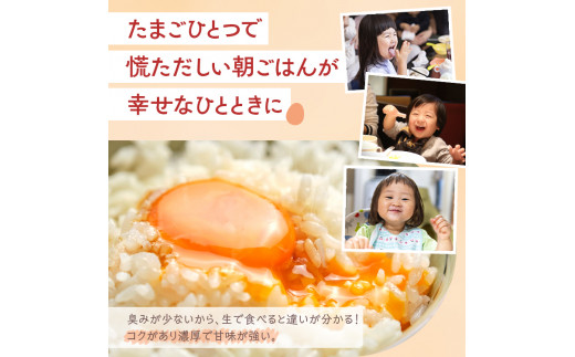 【6ヶ月定期便】小久保ファーム 濃厚卵黄 産みたてたまご 赤玉30個入り（M玉） | 定期便 6カ月 6回 卵 30個 赤玉 玉子 たまご タマゴ 生卵 鶏卵 産みたて 新鮮 濃厚 健康 国産 ギフト 贈答 贈り物 お中元 お歳暮 プレゼント 農家直送 _EI06