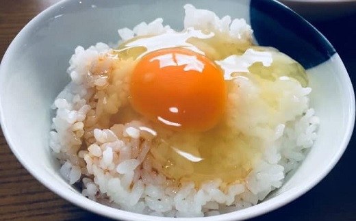 江原ファーム　体に優しい地養卵 ８０個 割れ補償 | 卵 80個 赤玉 玉子 たまご タマゴ 生卵 鶏卵 生みたて 産みたて 地養卵 新鮮 濃厚 健康 TKG たまごかけごはん ご飯のお供 国産 ギフト 贈答 贈り物 お中元 お歳暮 プレゼント 直送 農家直送 産地直送 _AG05