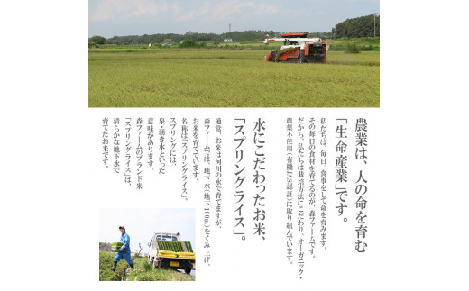 ã¹ããªã³ã°ã©ã€ã¹ ããã²ããã»ãã«ããŒã¯ã£ãŒã³ ãã¬ã³ã (çœç±³)5kg â»çæ¥æå®äžå¯ | ç±³ ãã ã³ã¡ 5ãã 粟米 çœç±³ ãã¬ã³ãç±³ ããã²ãã ã³ã·ãã«ãª ãã«ããŒã¯ã€ãŒã³ ã¿ãããŒãããŒã ãã¡ãã¡ å€æ²³åžç£ èšåçç£ åãå¯ã ãåãå¯ã ã®ãã èŽç èŽãç© ãã¬ãŒã³ã ãäžå
ãæ³æ® èšåç 倿²³åž çŽé 蟲家çŽé ç£å°çŽé éæç¡æ_BI27