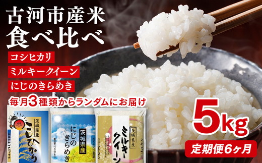 【定期便 6か月】令和7年産 古河市のお米食べ比べ コシヒカリ・ミルキークイーン・にじのきらめき ※毎月3種類のどれかが届く | 米 こめ コメ 5キロ 定期便 精米 食べ比べ 食べくらべ こしひかり コシヒカリ にじのきらめき 虹のきらめき にじきら ミルキークイーン みるきーくいーん 古河市産 茨城県産 贈答 贈り物 プレゼント 茨城県 古河市 直送 農家直送 産地直送 _DP62