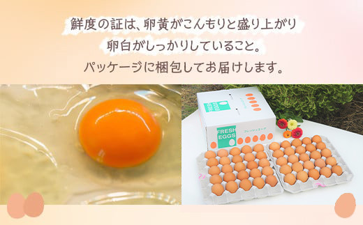 小久保ファーム　濃厚卵黄　産みたてたまご　赤玉50個入り（M玉）|  卵 50個 赤玉 玉子 たまご タマゴ 生卵 鶏卵 生みたて 産みたて 新鮮 濃厚 健康 TKG たまごかけごはん ご飯のお供 国産 ギフト 贈答 贈り物 お中元 お歳暮 プレゼント 茨城県 古河市 直送 農家直送 産地直送 送料無料 _EI02