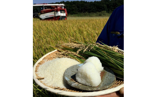 ã¹ããªã³ã°ã©ã€ã¹ ããã²ããã»ãã«ããŒã¯ã£ãŒã³ ãã¬ã³ã (çœç±³)5kg â»çæ¥æå®äžå¯ | ç±³ ãã ã³ã¡ 5ãã 粟米 çœç±³ ãã¬ã³ãç±³ ããã²ãã ã³ã·ãã«ãª ãã«ããŒã¯ã€ãŒã³ ã¿ãããŒãããŒã ãã¡ãã¡ å€æ²³åžç£ èšåçç£ åãå¯ã ãåãå¯ã ã®ãã èŽç èŽãç© ãã¬ãŒã³ã ãäžå
ãæ³æ® èšåç 倿²³åž çŽé 蟲家çŽé ç£å°çŽé éæç¡æ_BI27