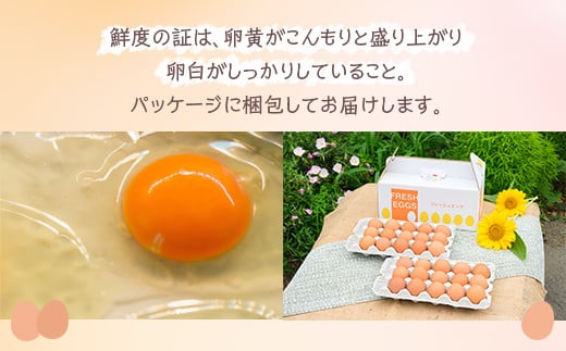 小久保ファーム　濃厚卵黄　産みたてたまご　赤玉30個入り（M玉） | 卵 玉子 たまご タマゴ 30個 赤玉 生卵 鶏卵 生みたて 産みたて 新鮮 濃厚 健康 TKG たまごかけごはん ご飯のお供 国産 ギフト 贈答 贈り物 お中元 お歳暮 プレゼント 茨城県 古河市 直送 農家直送 産地直送 送料無料 _EI01