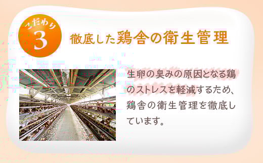 小久保ファーム　濃厚卵黄　産みたてたまご　赤玉50個入り（M玉）|  卵 50個 赤玉 玉子 たまご タマゴ 生卵 鶏卵 生みたて 産みたて 新鮮 濃厚 健康 TKG たまごかけごはん ご飯のお供 国産 ギフト 贈答 贈り物 お中元 お歳暮 プレゼント 茨城県 古河市 直送 農家直送 産地直送 送料無料 _EI02