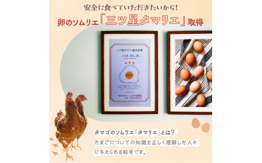 ãå®æäŸ¿ïŒïŒã«æïŒãå°ä¹
ä¿ãã¡ãŒã ãæ¿ååµé»ãç£ã¿ããŠããŸããèµ€ç30åå
¥ãïŒMçïŒ â»çæ¥æå®äžå¯ | åµ å®æäŸ¿ 30å èµ€ç çå ããŸã ã¿ã㎠çåµ é¶åµ çã¿ã㊠ç£ã¿ã㊠æ°é®® æ¿å å¥åº· TKG ããŸããããã¯ã ã飯ã®ãäŸ åœç£ ã®ãã èŽç èŽãç© ãäžå
ãæ³æ® ãã¬ãŒã³ã èšåç 倿²³åž çŽé 蟲家çŽé ç£å°çŽé éæç¡æ _EI04