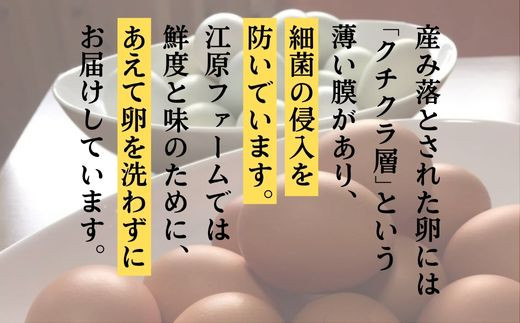 江原ファーム　体に優しい地養卵 ８０個 割れ補償 | 卵 80個 赤玉 玉子 たまご タマゴ 生卵 鶏卵 生みたて 産みたて 地養卵 新鮮 濃厚 健康 TKG たまごかけごはん ご飯のお供 国産 ギフト 贈答 贈り物 お中元 お歳暮 プレゼント 直送 農家直送 産地直送 _AG05