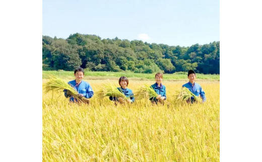 ã¹ããªã³ã°ã©ã€ã¹ ããã²ããã»ãã«ããŒã¯ã£ãŒã³ ãã¬ã³ã (çœç±³)5kg â»çæ¥æå®äžå¯ | ç±³ ãã ã³ã¡ 5ãã 粟米 çœç±³ ãã¬ã³ãç±³ ããã²ãã ã³ã·ãã«ãª ãã«ããŒã¯ã€ãŒã³ ã¿ãããŒãããŒã ãã¡ãã¡ å€æ²³åžç£ èšåçç£ åãå¯ã ãåãå¯ã ã®ãã èŽç èŽãç© ãã¬ãŒã³ã ãäžå
ãæ³æ® èšåç 倿²³åž çŽé 蟲家çŽé ç£å°çŽé éæç¡æ_BI27