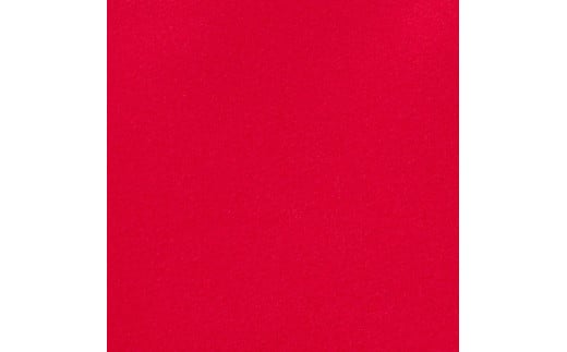 Nittaku ハモンドZ2 ｜ 卓球 たっきゅう にったく 日卓 日本卓球 ラケット スポーツ スポーツ用品 消耗品 ラバー スポンジ _AE47