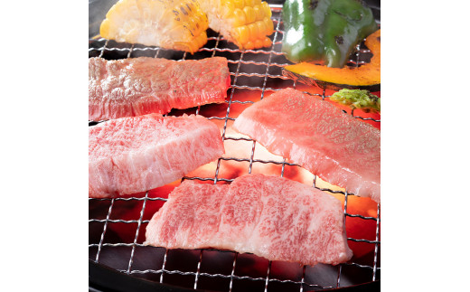 倿²³åžã§è²ã£ãåžžéžçïŒééïŒãã©ïŒçŒèçš800g| è ã«ã ã㯠ãã©ã³ã çè ãããã éæ é»æ¯ åç åœç£ èšåçç£ å·å èšåç 倿²³åž ãžã¥ãŒã·ãŒ ããããã è¯è³ª çŒè çŒãè _AO05 â»é¢å³¶ãžã®é
éäžå¯