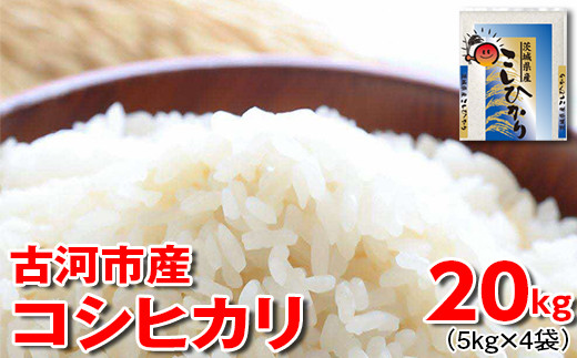 令和7年産 古河市産 コシヒカリ 20kg（5kg×4袋）| 米 こめ コメ 20キロ 精米 こしひかり 単一米 国産 古河市産 茨城県産 贈答 贈り物 プレゼント 茨城県 古河市 直送 農家直送 産地直送 着日指定可 ギフト お祝 ご褒美 取り寄せ お取り寄せ 記念品 景品 ※2025年9月上旬頃より順次発送予定 _DP24