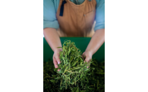 ハーブティー セージセージ 約62杯分(31teabags) _CR08