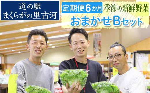 【定期便6か月】道の駅まくらがの里古河　季節の新鮮野菜おまかせBセット ※北海道・沖縄・離島への配送不可 | 野菜 詰合せ 詰め合わせ セット アソート 新鮮 道の駅 人気 ギフト 贈答 贈り物 プレゼント お中元 お歳暮 茨城県 古河市 直送 産地直送 _BQ08