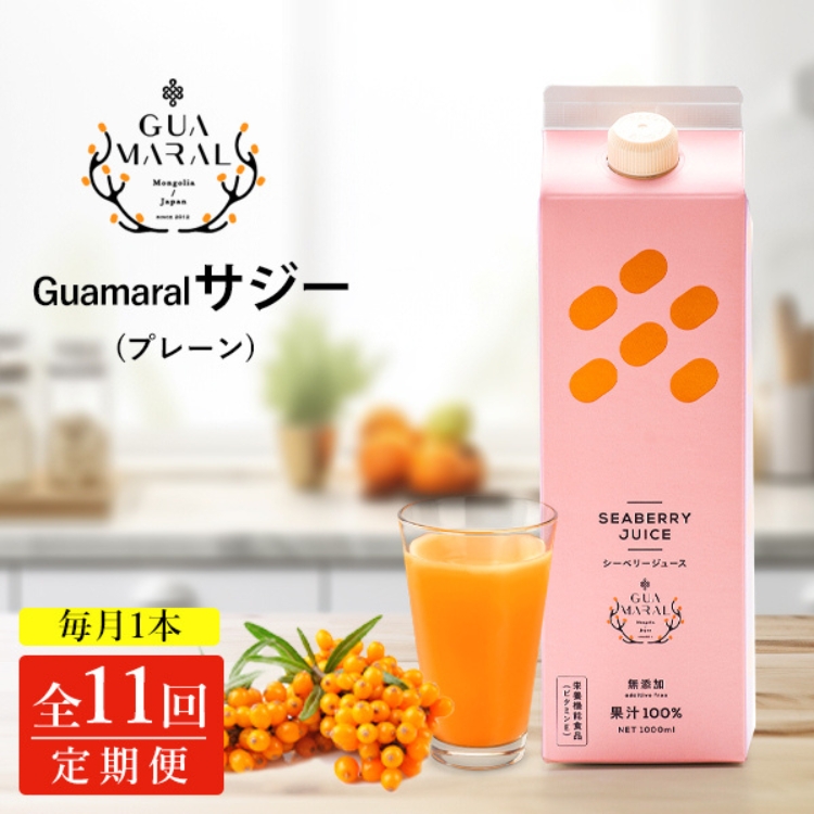 【定期便11カ月】サジー グアマラルサジー 1000ml　毎月1本11カ月コース｜サジージュース サジー シーベリー 沙棘 グアマラル 健康ドリンク 健康 美容 栄養 果汁 鉄分補給 栄養補給 健康食品 _DX30