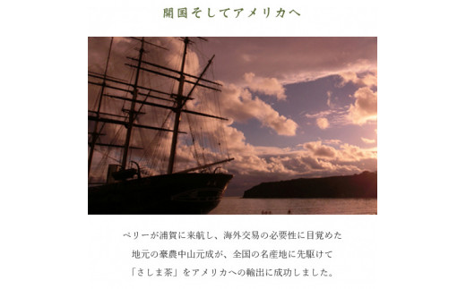 さしま茶ペットボトル2ケース（350ml 24本入り×2ケース） ※着日指定不可 |  お茶 ペットボトル 350ml×48本 茶 緑茶 日本茶 猿島茶 さしま茶 飲み物 ドリンク 日常 まとめ 箱 ケース ギフト 贈答 贈り物 プレゼント お中元 お歳暮　 茨城県 古河市 送料無料 _CD02