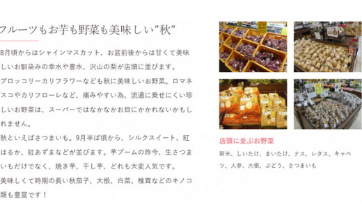 【定期便3か月】道の駅まくらがの里古河　季節の新鮮野菜おまかせAセット ※北海道・沖縄・離島への配送不可 |  野菜 おいしい 産地直送 新鮮 詰め合わせ 定期便 便利 簡単 手軽 やさい ヤサイ 茨城県 古河市 お楽しみ 野菜定期便 セット _BQ05
