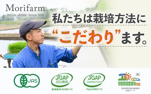石臼製粉 常陸秋そば 田舎風（ブレンド）そば粉 1kg  | そば粉 ソバ粉 蕎麦粉 そば ソバ 蕎麦 常陸そば 常陸秋そば 石臼製粉  取り寄せ お取り寄せ ギフト 贈答 贈り物 プレゼント 茨城県 古河市 直送 農家直送 産地直送 送料無料 _BI85