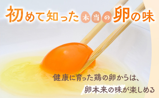 小久保ファーム　濃厚卵黄　産みたてたまご　赤玉30個入り（M玉） | 卵 玉子 たまご タマゴ 30個 赤玉 生卵 鶏卵 生みたて 産みたて 新鮮 濃厚 健康 TKG たまごかけごはん ご飯のお供 国産 ギフト 贈答 贈り物 お中元 お歳暮 プレゼント 茨城県 古河市 直送 農家直送 産地直送 送料無料 _EI01