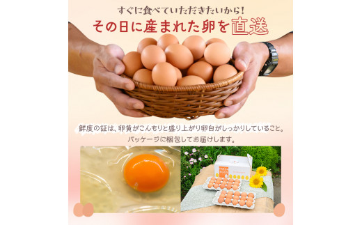 ãå®æäŸ¿ïŒïŒã«æïŒãå°ä¹
ä¿ãã¡ãŒã ãæ¿ååµé»ãç£ã¿ããŠããŸããèµ€ç30åå
¥ãïŒMçïŒ â»çæ¥æå®äžå¯ | åµ å®æäŸ¿ 30å èµ€ç çå ããŸã ã¿ã㎠çåµ é¶åµ çã¿ã㊠ç£ã¿ã㊠æ°é®® æ¿å å¥åº· TKG ããŸããããã¯ã ã飯ã®ãäŸ åœç£ ã®ãã èŽç èŽãç© ãäžå
ãæ³æ® ãã¬ãŒã³ã èšåç 倿²³åž çŽé 蟲家çŽé ç£å°çŽé éæç¡æ _EI04