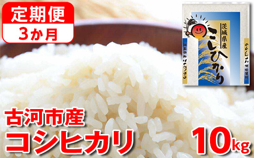 【定期便 3か月】令和7年産 古河市産コシヒカリ 10kg（5kg×2袋）｜米 コメ こめ ごはん ご飯 ゴハン 白飯 単一米 国産 コシヒカリ こしひかり 10kg 定期便 3ヶ月 3回 茨城県 古河市_DP43