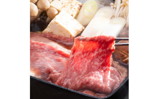 古河市で育った常陸牛！赤身（モモ・カタ）すきやき用700g | 肉 牛肉 700グラム 国産 茨城県 常陸牛 ブランド 冷凍 すきやき すき焼き しゃぶしゃぶ 食べ比べ 食べくらべ モモ カタ セット商品 詰め合わせ バラエティ 高級 贅沢 ギフト 贈答 贈答用 プレゼント 送料無料_AO03 ※離島への配送不可