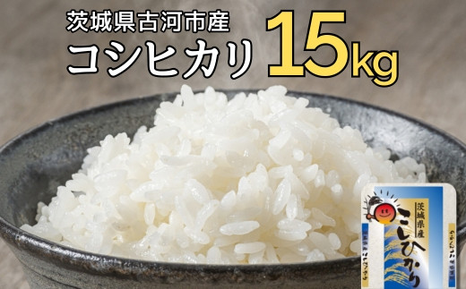 令和7年産 古河市産コシヒカリ 15kg（5kg×3袋）| 米 こめ コメ 15キロ 精米 こしひかり 単一米 国産 古河市産 茨城県産 贈答 贈り物 プレゼント 茨城県 古河市 直送 農家直送 産地直送 着日指定可 お祝 ご褒美 取り寄せ お取り寄せ 記念品 景品 ※2025年9月上旬頃より順次発送予定 _DP21