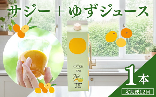 【定期便】 サジージュース+ゆず 1000ml×毎月1本 12ヶ月コース | サジー シーベリー 沙棘 グアマラル 健康ドリンク 健康 美容 栄養 果汁 鉄分補給 栄養補給 健康食品 ギフト 贈答 プレゼント ご褒美 お祝 記念品 _DX10