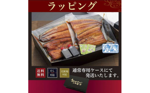 うなぎ蒲焼3人前（1人前約160g×3）贈答用パッケージ｜うなぎ 鰻 ウナギ 480グラム 国産 かば焼き 蒲焼き 蒲焼 うな重 ひつまぶし たれ 山椒 人気 おすすめ 取り寄せ お取り寄せ グルメ 惣菜 贈答 贈り物 プレゼント お中元 お歳暮 御歳暮 茨城県 古河市 直送 店舗直送 送料無料 _AT03