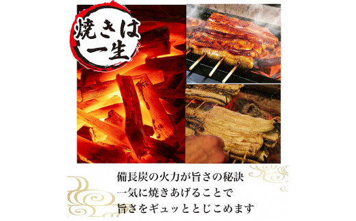 うなぎ蒲焼2人前（1人前約160g×2）贈答用パッケージ｜うなぎ 鰻 ウナギ 320グラム 国産 かば焼き 蒲焼き 蒲焼 うな重 ひつまぶし たれ 山椒 人気 おすすめ 取り寄せ お取り寄せ グルメ 惣菜 ギフト 贈答 贈り物 プレゼント お中元 お歳暮 御歳暮 茨城県 古河市 直送 店舗直送 送料無料 _AT02