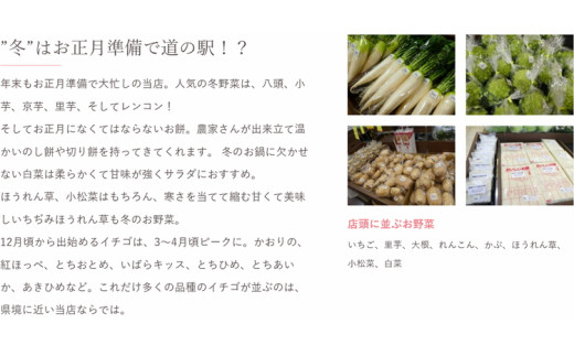 【定期便3か月】道の駅まくらがの里古河　季節の新鮮野菜おまかせBセット ※北海道・沖縄・離島への配送不可 | 野菜 おいしい 産地直送 新鮮 詰め合わせ 定期便 便利 簡単 手軽 やさい ヤサイ 茨城県 古河市 お楽しみ 野菜定期便 セット_BQ06