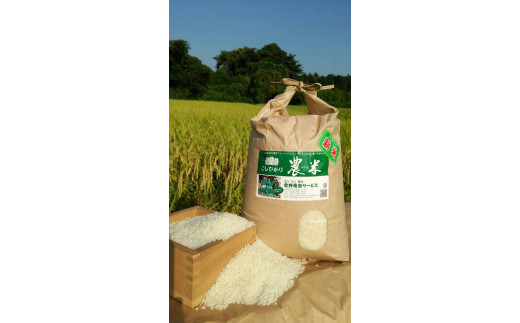 【令和7年産】【新米】古河市産 コシヒカリ15kg【倉持農園】 | 米 こめ コメ こしひかり コシヒカリ 15キロ 古河市産 茨城県産 贈答 贈り物 プレゼント 茨城県 古河市 直送 農家直送 産地直送 送料無料 _AN02 ※2025年11月上旬頃より順次発送予定