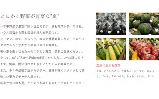 【定期便3か月】道の駅まくらがの里古河　季節の新鮮野菜おまかせBセット ※北海道・沖縄・離島への配送不可 | 野菜 おいしい 産地直送 新鮮 詰め合わせ 定期便 便利 簡単 手軽 やさい ヤサイ 茨城県 古河市 お楽しみ 野菜定期便 セット_BQ06