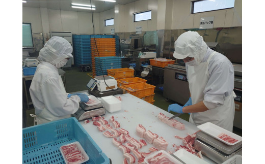 古河市産ローズポーク『豚カタ・モモ切落し1.5kg』 | 肉 豚肉 国産 ブランド 冷凍 焼肉 BBQ 小分け 食べ比べ 食べくらべ ロース 肩ロース 切り落とし セット商品  詰め合わせ バラエティ ギフト 贈答 贈り物 お中元 お歳暮 プレゼント 茨城県 古河市 直送 産地直送 送料無料 _AD07