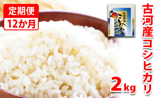 【定期便 12か月】令和7年産 古河市産コシヒカリ 2kg | 米 こめ コメ こしひかり 単一米 国産 2キロ 定期便 こしひかり コシヒカリ 古河市産 茨城県産 贈答 贈り物 プレゼント 茨城県 古河市 直送 産地直送 送料無料 _DP30