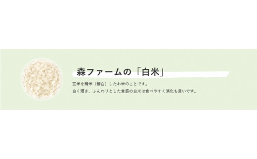 ã¹ããªã³ã°ã©ã€ã¹ ããã²ããã»ãã«ããŒã¯ã£ãŒã³ ãã¬ã³ã (çœç±³)5kg â»çæ¥æå®äžå¯ | ç±³ ãã ã³ã¡ 5ãã 粟米 çœç±³ ãã¬ã³ãç±³ ããã²ãã ã³ã·ãã«ãª ãã«ããŒã¯ã€ãŒã³ ã¿ãããŒãããŒã ãã¡ãã¡ å€æ²³åžç£ èšåçç£ åãå¯ã ãåãå¯ã ã®ãã èŽç èŽãç© ãã¬ãŒã³ã ãäžå
ãæ³æ® èšåç 倿²³åž çŽé 蟲家çŽé ç£å°çŽé éæç¡æ_BI27