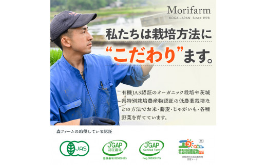 ゆるりの森のそば 常陸秋そば（乾麺） 180g×10袋 （約20人前）｜麦 そば ソバ 小分け 個包装 便利 麺 麺類 おいしい ブランド お取り寄せ グルメ こだわり 産地直送 ギフト 贈答 贈り物 お祝い ご褒美 お歳暮 1.8kg 茨城県 古河市　_FN06