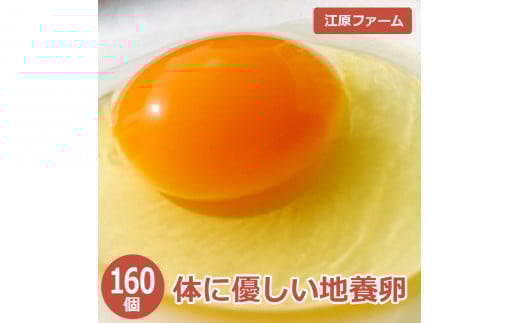 江原ファーム　体に優しい地養卵 １６０個 割れ補償 | 卵 160個 赤玉 玉子 たまご タマゴ 生卵 鶏卵 生みたて 産みたて 地養卵 新鮮 濃厚 健康 TKG たまごかけごはん ご飯のお供 国産 ギフト 贈答 贈り物 お中元 お歳暮 プレゼント 茨城県 古河市 直送 農家直送 産地直送 _AG06