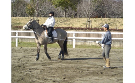 ネーブルパーク 施設利用券 6,000円分(500円×12枚) ※着日指定可 | 利用券 公園 テーマパーク ポニー 工芸 パン キャンプ 宿泊 BBQ バーベキュー 地下迷路 迷路 自然 花 贈答 休日 夏休み 冬休み GW 贈り物 プレゼント 茨城県 古河市 送料無料 着日指定可 着日指定OK _DP14